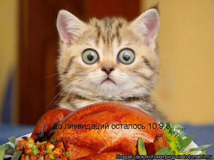 до ликвидаций осталось 10,9,8.......... Котоматрица: до ликвидаций осталось 10,9,8.......