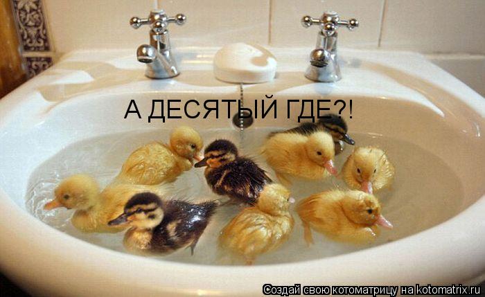 А ДЕСЯТЫЙ ГДЕ?!... Котоматрица: А ДЕСЯТЫЙ ГДЕ?!