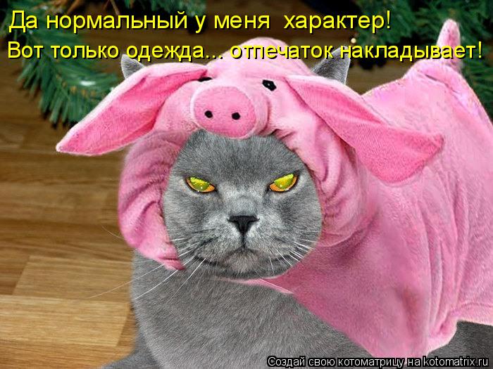 Да нормальный у меня характер! Вот только одежда... отпечаток накладывает!... Котоматрица: Да нормальный у меня характер! Вот только одежда... отпечаток накладывает!