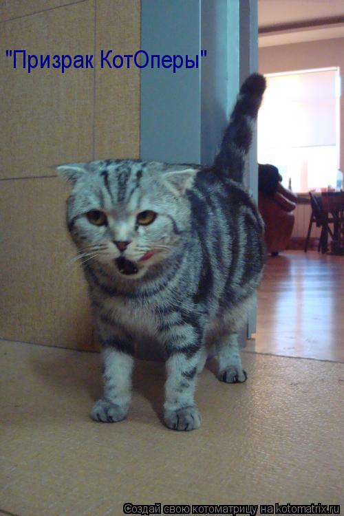 Котоматрица: "Призрак КотОперы"