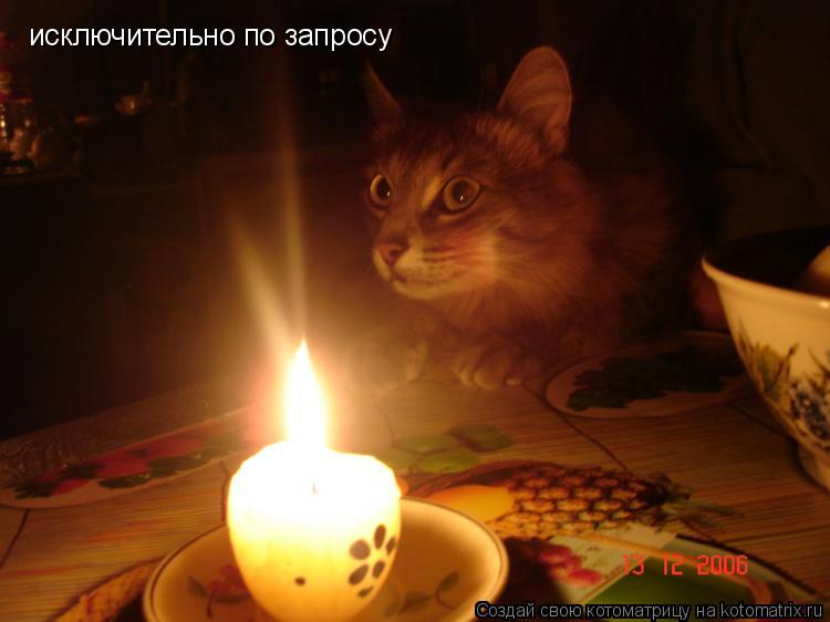 Котоматрица: исключительно по запросу