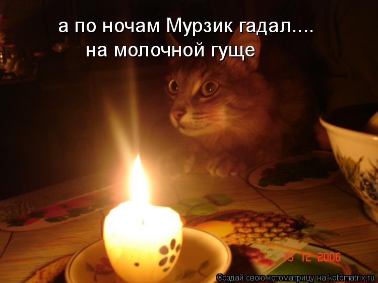 а по ночам Мурзик гадал.... на молочной гуще... Котоматрица: а по ночам Мурзик гадал.... на молочной гуще