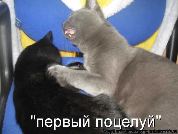 "первый поцелуй"... Котоматрица: "первый поцелуй"