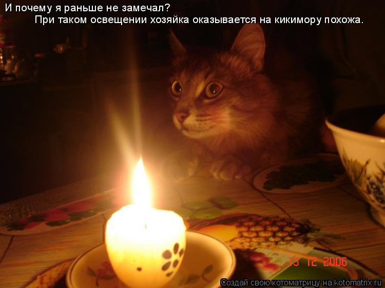 И почему я раньше не замечал? При таком освещении хозяйка оказывается на кикимору похожа.... Котоматрица: И почему я раньше не замечал? При таком освещении хозяйка оказывается на кикимору похожа.