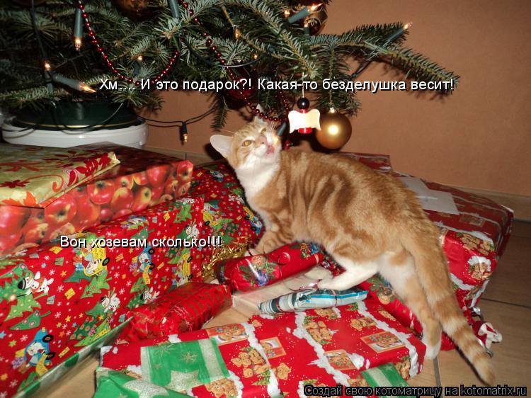 Хм.... И это подарок?! Какая-то безделушка весит! Вон хозевам сколько!!!... Котоматрица: Хм.... И это подарок?! Какая-то безделушка весит! Вон хозевам сколько!!!