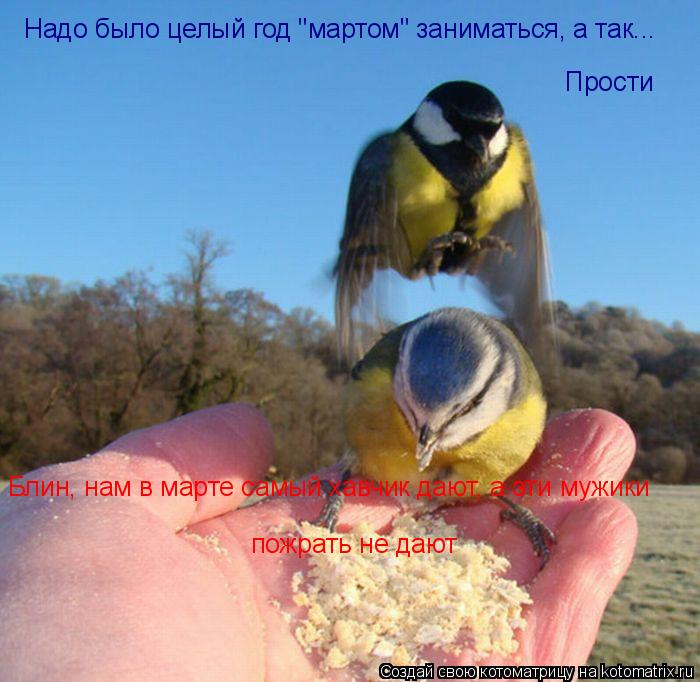 Блин, нам в марте самый хавчик дают, а эти мужики пожрать не дают Надо было целый год "мартом" занима... Котоматрица: Блин, нам в марте самый хавчик дают, а эти мужики пожрать не дают Надо было целый год "мартом" заниматься, а так... Прости