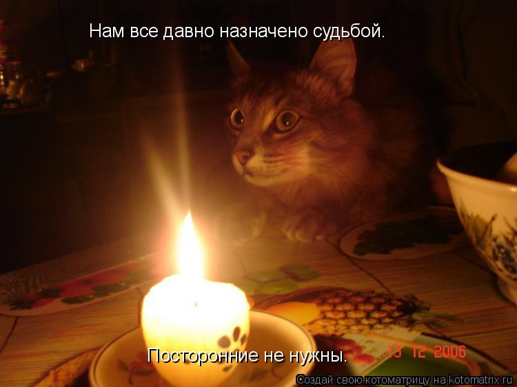 Нам все давно назначено судьбой. Посторонние не нужны.... Котоматрица: Нам все давно назначено судьбой. Посторонние не нужны.