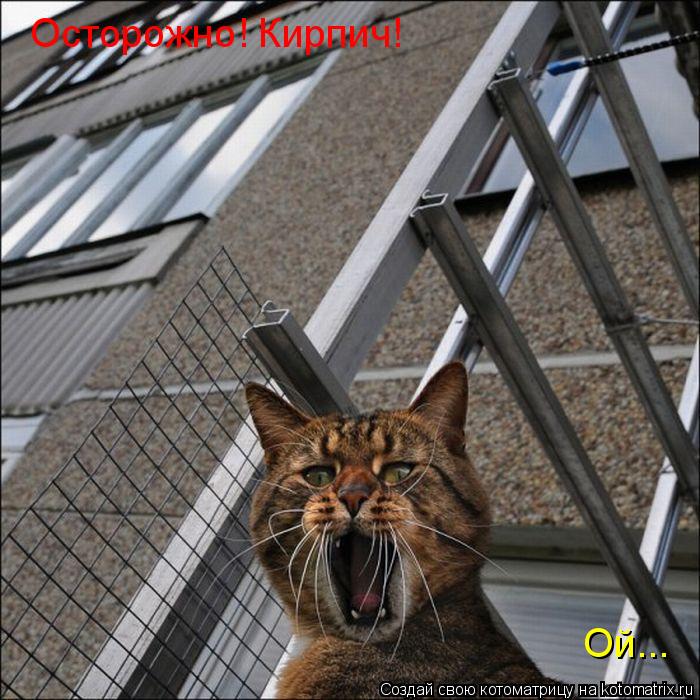 Котоматрица: Осторожно! Кирпич! Ой...
