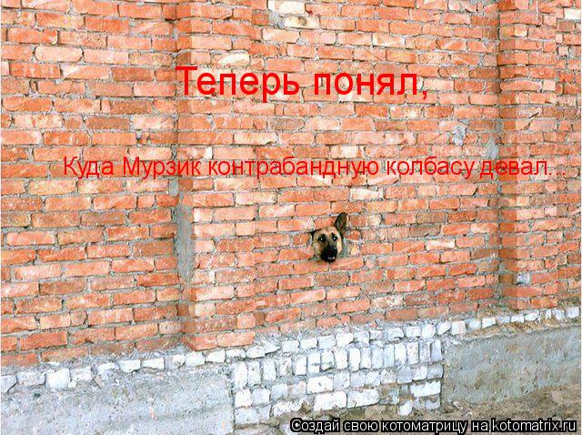 Теперь понял, Куда Мурзик контрабандную колбасу девал...... Котоматрица: Теперь понял, Куда Мурзик контрабандную колбасу девал...
