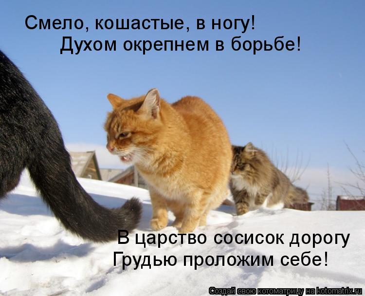 Котоматрица: Смело, кошастые, в ногу! Духом окрепнем в борьбе! В царство сосисок дорогу  Грудью проложим себе!