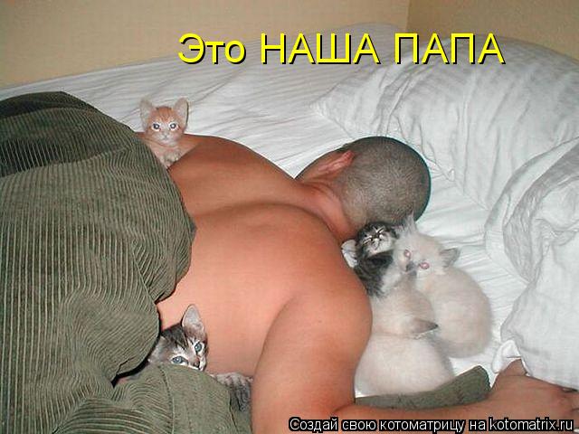 Это НАША ПАПА... Котоматрица: Это НАША ПАПА