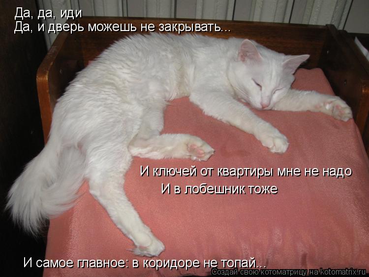 Да, да, иди Да, и дверь можешь не закрывать... И ключей от квартиры мне не надо И в лобешник тоже И с... Котоматрица: Да, да, иди Да, и дверь можешь не закрывать... И ключей от квартиры мне не надо И в лобешник тоже И самое главное: в коридоре не топай...