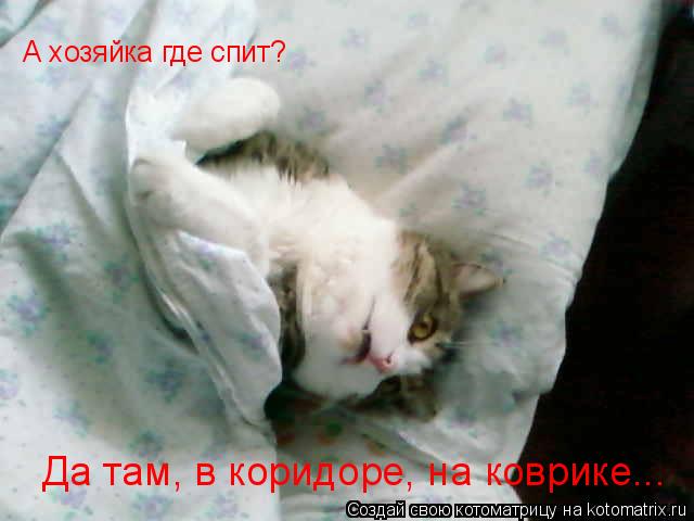 А хозяйка где спит? Да там, в коридоре, на коврике...... Котоматрица: А хозяйка где спит? Да там, в коридоре, на коврике...