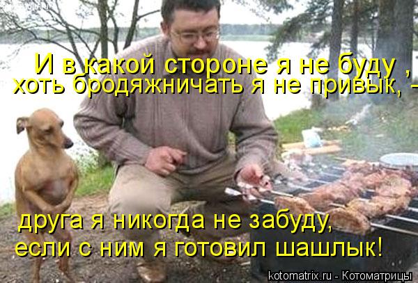И в какой стороне я не буду , хоть бродяжничать я не привык, - друга я никогда не забуду, если с н... Котоматрица: И в какой стороне я не буду , хоть бродяжничать я не привык, - друга я никогда не забуду, если с ним я готовил шашлык!