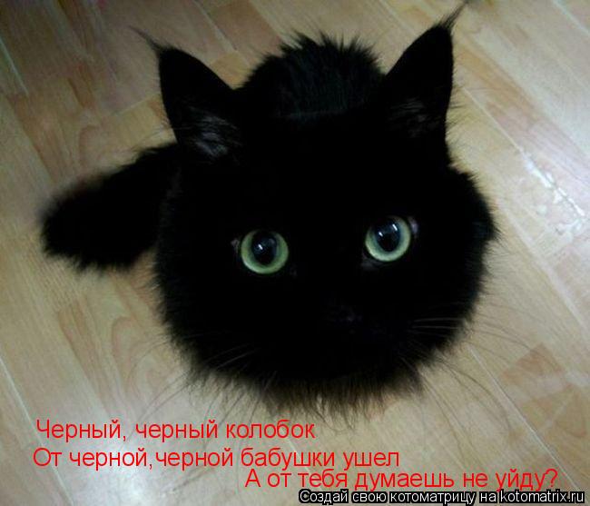 Черный, черный колобок От черной,черной бабушки ушел А от тебя думаешь не уйду?... Котоматрица: Черный, черный колобок От черной,черной бабушки ушел А от тебя думаешь не уйду?