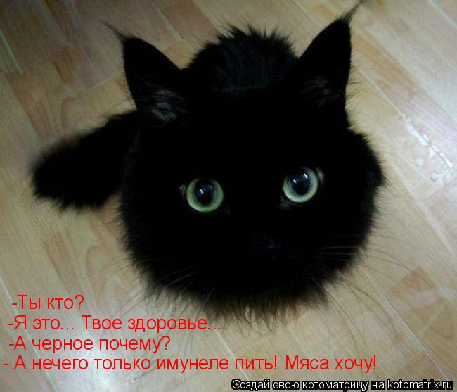 -Ты кто? -Я это... Твое здоровье... -А черное почему? - А нечего только имунеле пить! Мяса хочу!... Котоматрица: -Ты кто? -Я это... Твое здоровье... -А черное почему? - А нечего только имунеле пить! Мяса хочу!