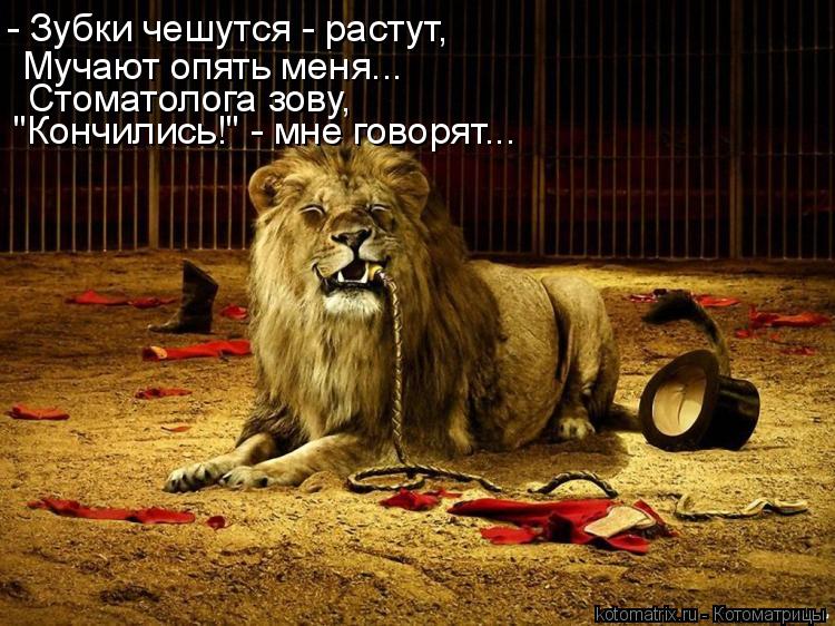 - Зубки чешутся - растут, Мучают опять меня... Стоматолога зову, "Кончились!" - мне говорят...... Котоматрица: - Зубки чешутся - растут, Мучают опять меня... Стоматолога зову, "Кончились!" - мне говорят...