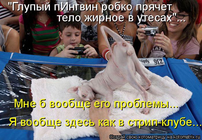 "Глупый пИнгвин робко прячет тело жирное в утесах"... Мне б вообще его проблемы... Я вообще здесь как... Котоматрица: "Глупый пИнгвин робко прячет тело жирное в утесах"... Мне б вообще его проблемы... Я вообще здесь как в стрип-клубе...