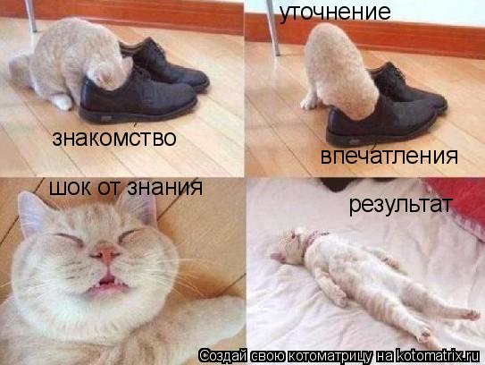 знакомство уточнение впечатления шок от знания результат... Котоматрица: знакомство уточнение впечатления шок от знания результат