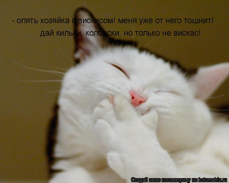 - опять хозяйка с вискисом! меня уже от него тошнит! - опять хозяйка с вискисом! меня уже от него тош... Котоматрица: - опять хозяйка с вискисом! меня уже от него тошнит! - опять хозяйка с вискисом! меня уже от него тошнит! дай кильки, колбаски, но только не вис