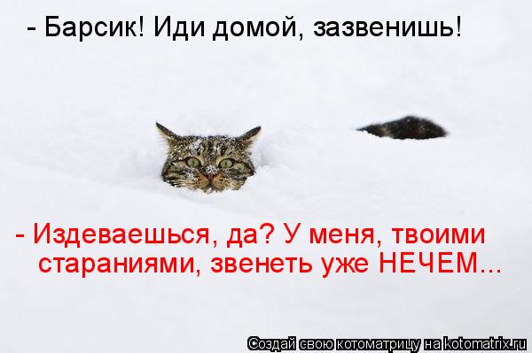 - Барсик! Иди домой, зазвенишь! - Издеваешься, да? У меня, твоими стараниями, звенеть уже НЕЧЕМ...... Котоматрица: - Барсик! Иди домой, зазвенишь! - Издеваешься, да? У меня, твоими стараниями, звенеть уже НЕЧЕМ...