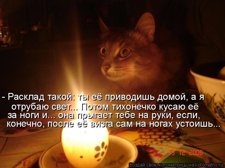 - Расклад такой: ты её приводишь домой, а я отрубаю свет... Потом тихонечко кусаю её за ноги и... он... Котоматрица: - Расклад такой: ты её приводишь домой, а я отрубаю свет... Потом тихонечко кусаю её за ноги и... она прыгает тебе на руки, если, конечно, после е