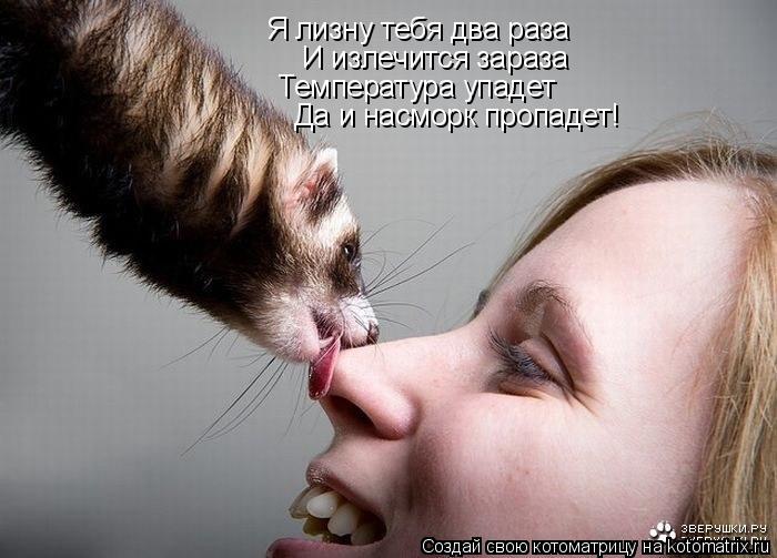 Я лизну тебя два раза И излечится зараза Температура упадет Да и насморк пропадет!... Котоматрица: Я лизну тебя два раза И излечится зараза Температура упадет Да и насморк пропадет!