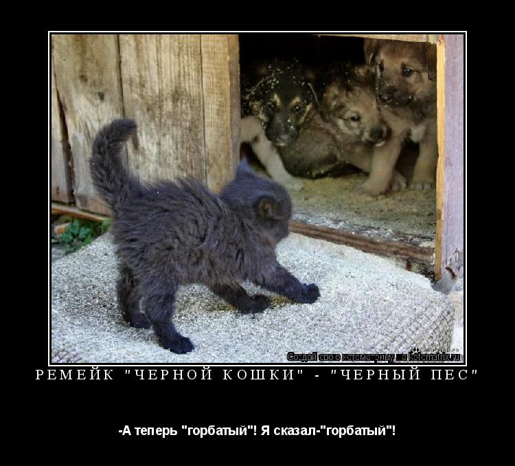 Котоматрица: ремейк "чёрной кошки" - "чёрный пёс" -А теперь "горбатый"! Я сказал-"горбатый"!