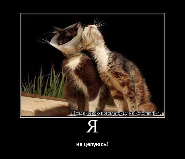 Я не целуюсь!... Котоматрица: Я не целуюсь!