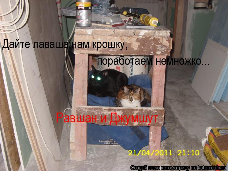 Дайте лаваша нам крошку, поработаем немножко... Равшан и Джумшут... Котоматрица: Дайте лаваша нам крошку, поработаем немножко... Равшан и Джумшут