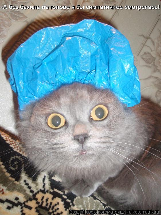 -А без бахила на голове я бы симпатичнее смотрелась!... Котоматрица: -А без бахила на голове я бы симпатичнее смотрелась!