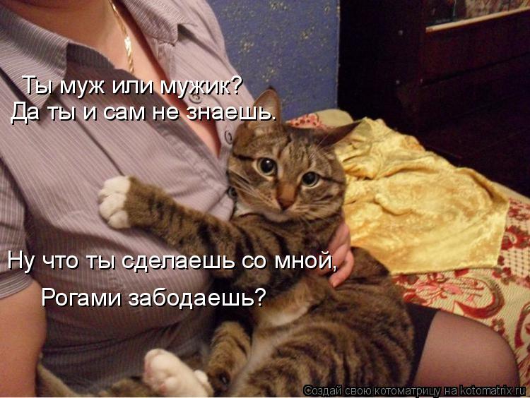 Ты муж или мужик? Да ты и сам не знаешь. Ну что ты сделаешь со мной, Рогами забодаешь?... Котоматрица: Ты муж или мужик? Да ты и сам не знаешь. Ну что ты сделаешь со мной, Рогами забодаешь?