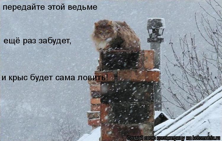 передайте этой ведьме и крыс будет сама ловить! ещё раз забудет,... Котоматрица: передайте этой ведьме и крыс будет сама ловить! ещё раз забудет,