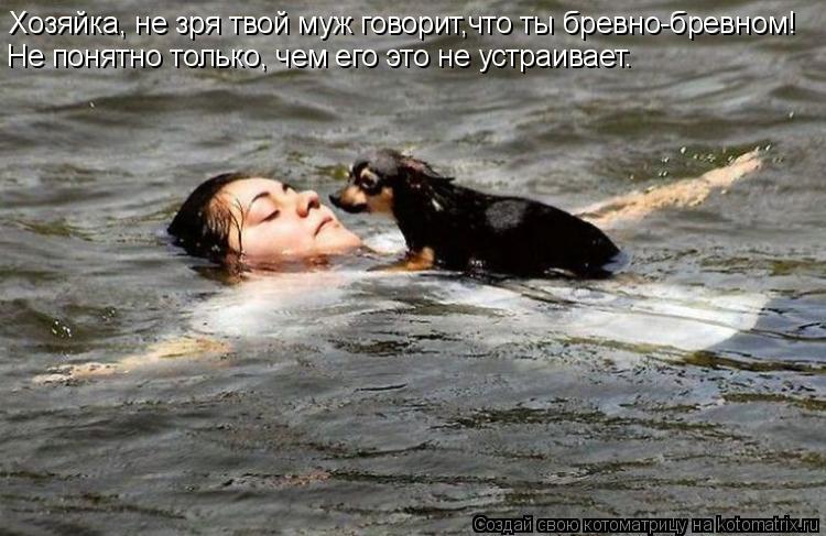 Котоматрица: Хозяйка, не зря твой муж говорит,  Не понятно только, чем его это не устраивает. что ты бревно-бревном!