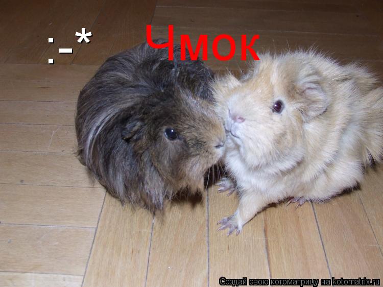 Чмок :-*... Котоматрица: Чмок :-*