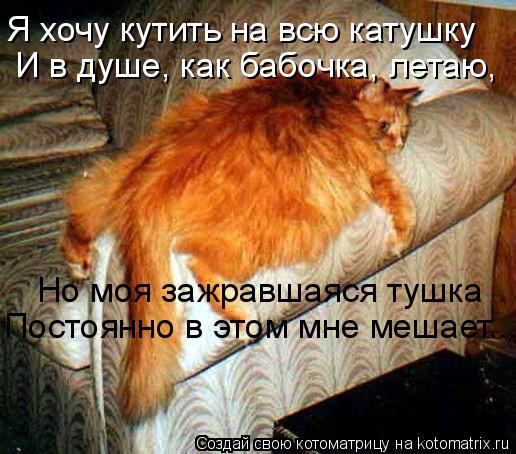 Но моя зажравшаяся тушка Постоянно в этом мне мешает... Я хочу кутить на всю катушку И в душе, как ба... Котоматрица: Но моя зажравшаяся тушка Постоянно в этом мне мешает... Я хочу кутить на всю катушку И в душе, как бабочка, летаю,