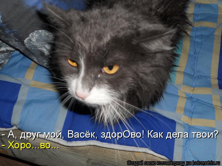 - А, друг мой, Васёк, здорОво! Как дела твои? - Хоро...во...... Котоматрица: - А, друг мой, Васёк, здорОво! Как дела твои? - Хоро...во...