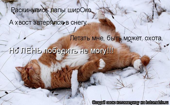 Раскинулись лапы ширОко А хвост затерялся в снегу... Летать мне, быть может, охота, Но ЛЕНЬ победить ... Котоматрица: Раскинулись лапы ширОко А хвост затерялся в снегу... Летать мне, быть может, охота, Но ЛЕНЬ победить не могу!!!