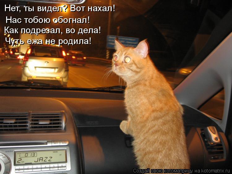 Котоматрица: Нас тобою обогнал! Как подрезал, во дела! Чуть ежа не родила! Нет, ты видел? Вот нахал!