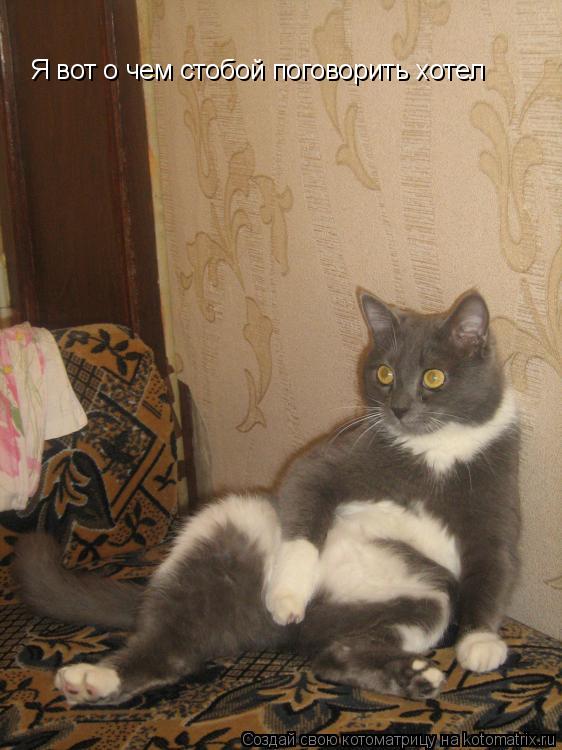 Котоматрица: Я вот о чем стобой поговорить хотел