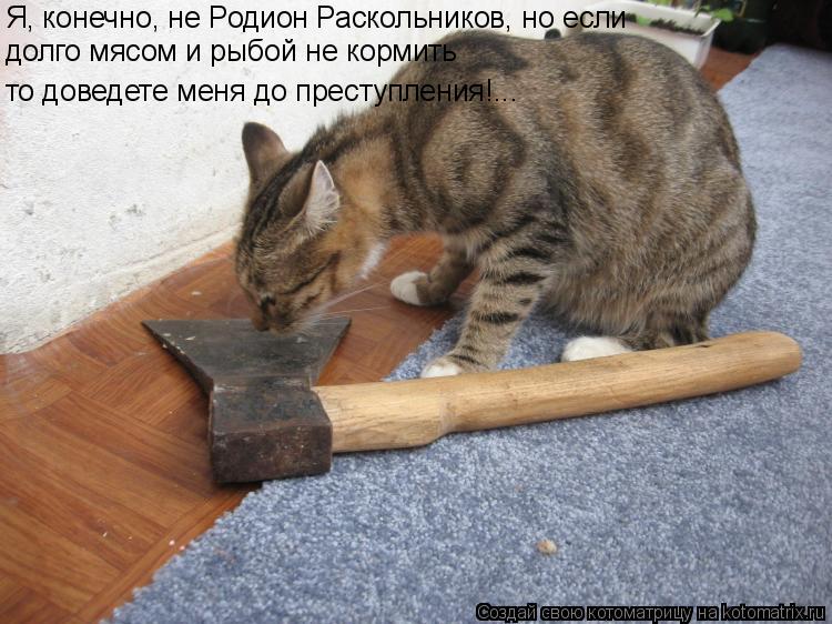 Котоматрица: Я, конечно, не Родион Раскольников, но если долго мясом и рыбой не кормить то доведете меня до преступления!...