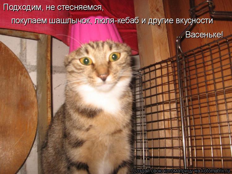 Котоматрица: Подходим, не стесняемся,  покупаем шашлычок, люля-кебаб и другие вкусности ... Васеньке!