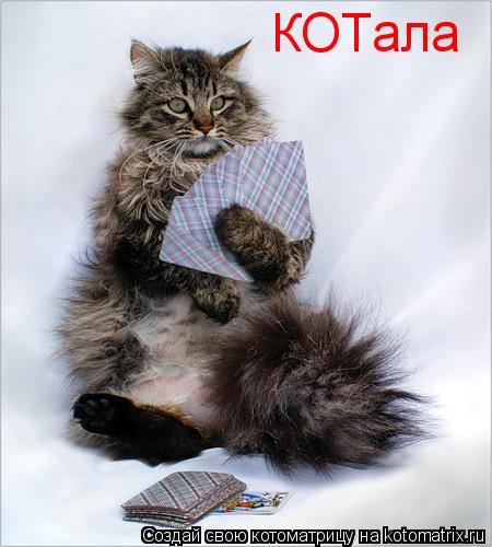 Котоматрица: КОТала