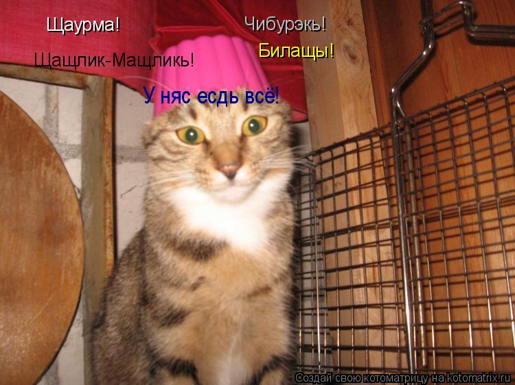 Щаурма! Щащлик-Мащликь! Чибурэкь! Билащы! У няс есдь всё!... Котоматрица: Щаурма! Щащлик-Мащликь! Чибурэкь! Билащы! У няс есдь всё!