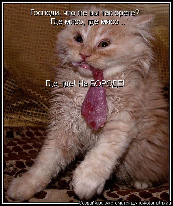 Господи, что же вы так орете? Где мясо, где мясо... Где, где! На БОРОДЕ!... Котоматрица: Господи, что же вы так орете? Где мясо, где мясо... Где, где! На БОРОДЕ!