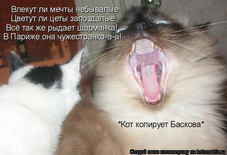 Влекут ли мечты небывалые Цветут ли цеты запоздалые Всё так же рыдает шарманка! В Париже она чужестра... Котоматрица: Влекут ли мечты небывалые Цветут ли цеты запоздалые Всё так же рыдает шарманка! В Париже она чужестранка-а-а! *Кот копирует Баскова*