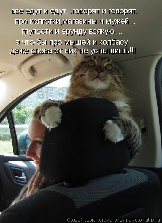 все едут и едут...говорят и говорят... про колготки,магазины и мужей... глупости и ерунду всякую.... ... Котоматрица: все едут и едут...говорят и говорят... про колготки,магазины и мужей... глупости и ерунду всякую.... а что-бы про мышей и колбасу даже слова от ни