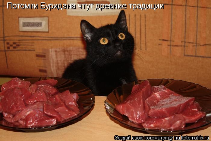 Котоматрица: Потомки Буридана чтут древние традиции