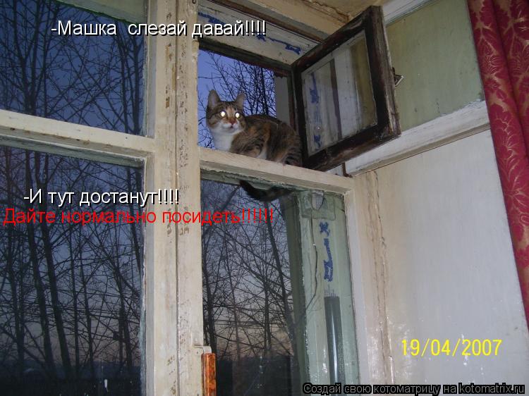 Котоматрица: -Машка  слезай давай!!!! -И тут достанут!!!!  Дайте нормально посидеть!!!!!!