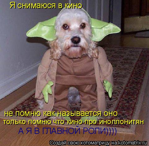 Котоматрица: Я снимаюся в кино  не помню как называется оно А Я В ГЛАВНОЙ РОЛИ)))) только помню что кино про иноплонитян